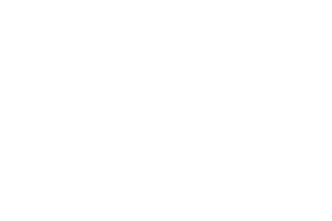 cisco partner logo